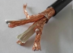 ZRA-DJYPVPR-2*2*1.5阻燃型DCS系統(tǒng)用計算機屏蔽電纜