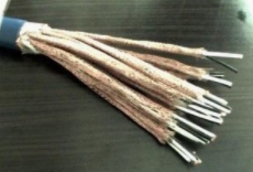 ZR-DJYPVPR-2*2*1.5安徽天康阻燃型計算機屏蔽軟電纜